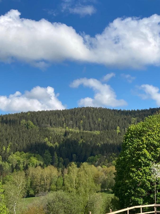 Apartman Brcalnik Sumavske Strane Hojsova Stráž Exterior foto